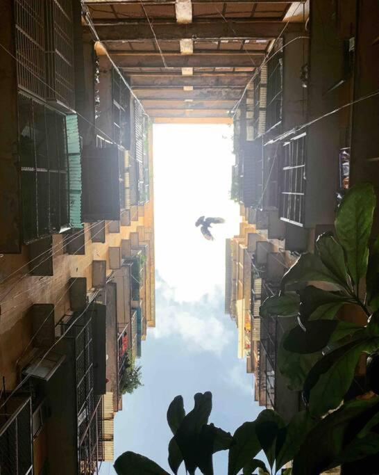 הו צ'י מין סיטי Saigonese Lifestyle - Near Ben Thanh Market מראה חיצוני תמונה